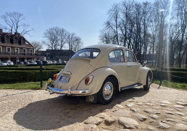 Volkswagen Garbus cena 42000 przebieg: 37500, rok produkcji 1964 z Uniejów małe 254